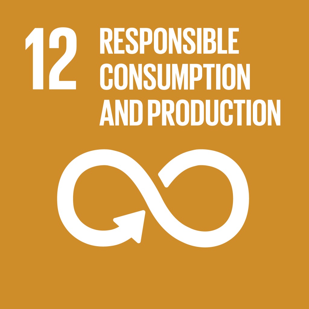 SDG 12 - Konsumsi & Produksi Bertanggung Jawab