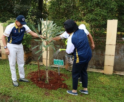 Bibit pohon produktif