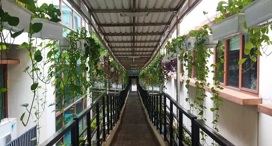 Wujudkan Kampus Ramah Disabilitas dan Minim Emisi, Universitas Terbuka Perluas Jalur Pedestrian Beratap Berbasis Tenaga Surya